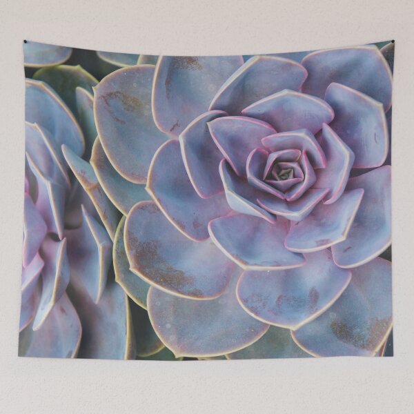 Item preview, Vivid Succulents designed and sold by aprilbernphoto.
