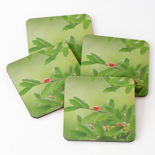 Item preview, Bird Food designed and sold by Lois  Bryan.