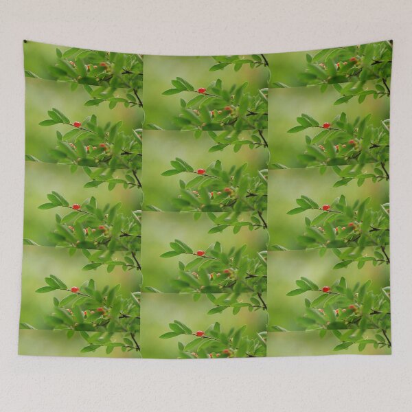 Item preview, Bird Food designed and sold by Lois  Bryan.