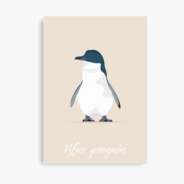 Blue penguin - Manchot pygmée Impression sur toile