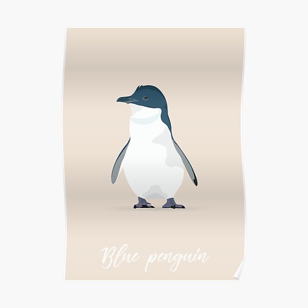 Blue penguin - Manchot pygmée Poster