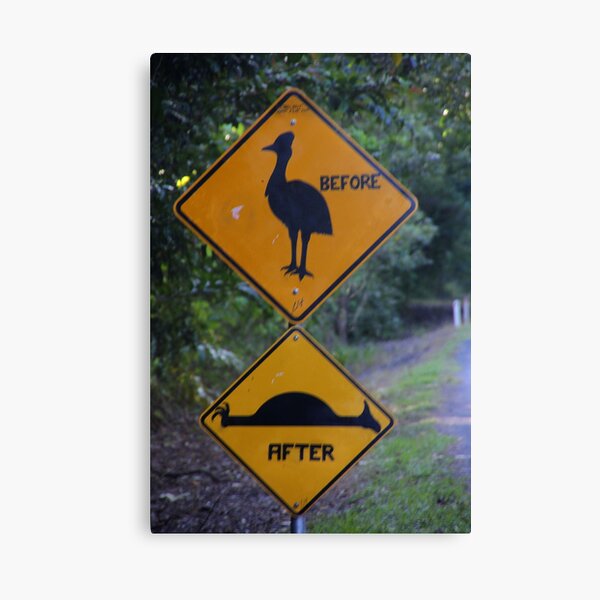 Be Aware of Cassowary! Canvas Print