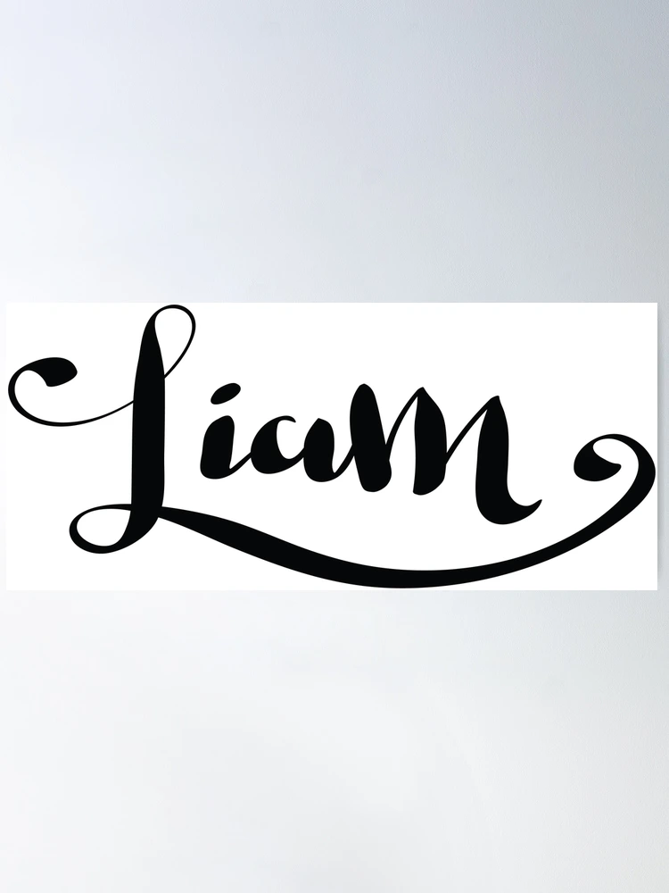 Liamさん専用 fposter,large,wall_texture,