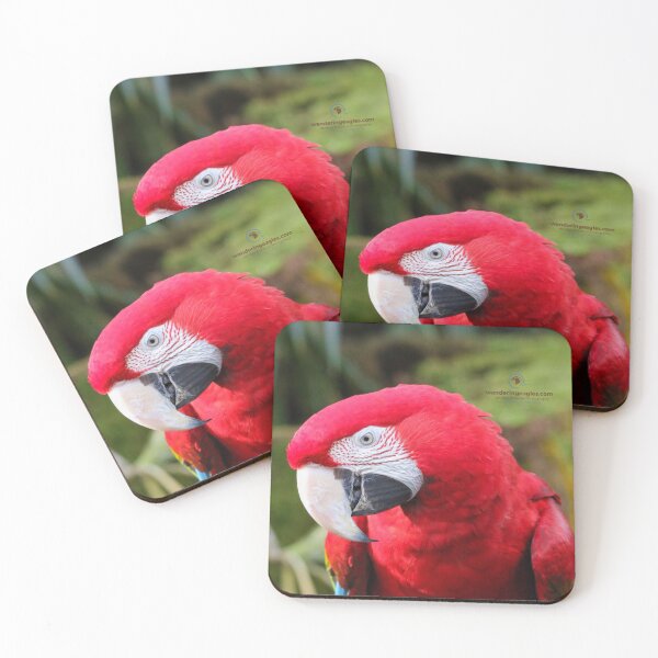 Item preview, Green-winged Macaw  designed and sold by Wanderingeagles.