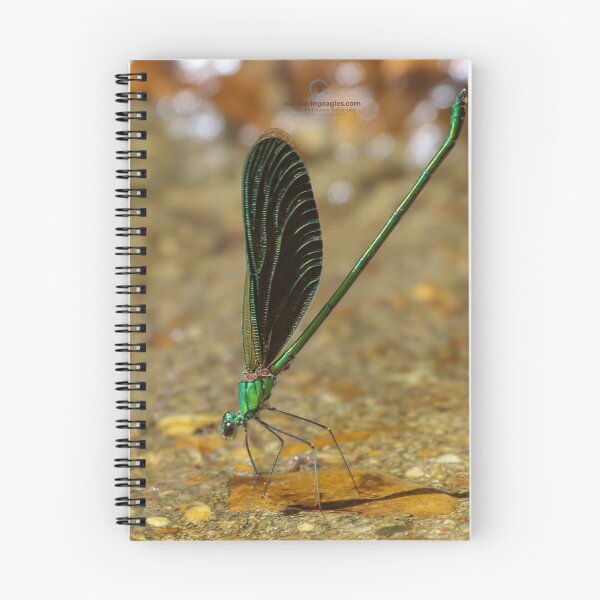 Item preview, Stream Glory designed and sold by Wanderingeagles.