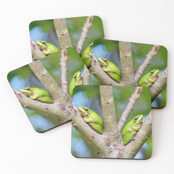 Item preview, Eastern Dwarf Tree Frogs designed and sold by Wanderingeagles.