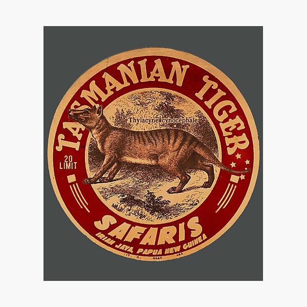 Vintage Tasmanian Tiger Safari Photographic Print