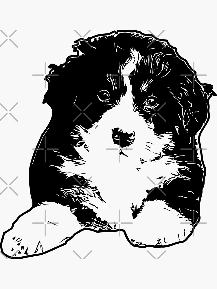 Bernese Puppy Vector by tribbledesign