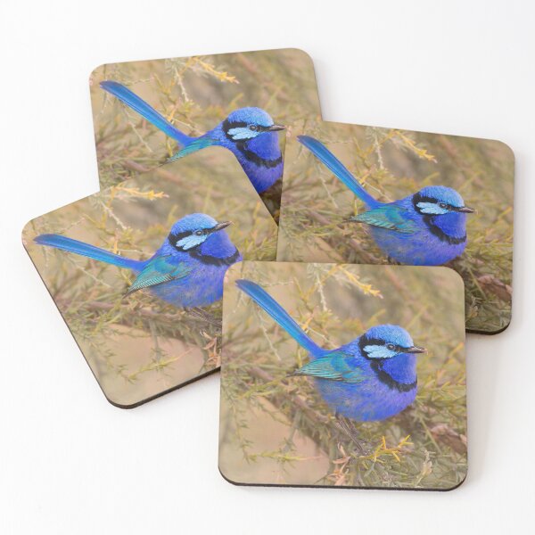 Item preview, Australian Splendid Fairywren designed and sold by cschester4.