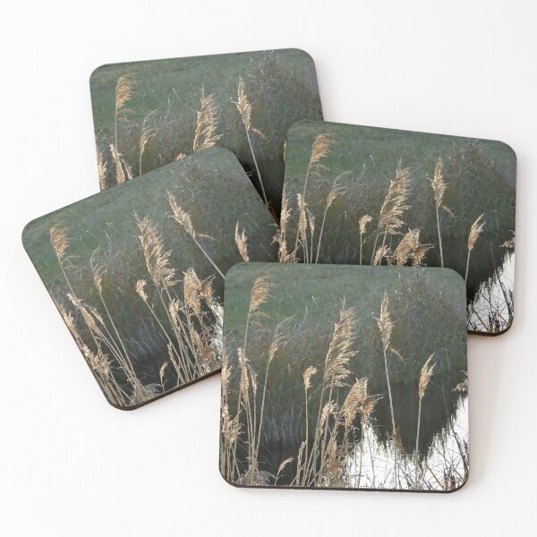 Item preview, Before the last reeds broke designed and sold by jchanders.