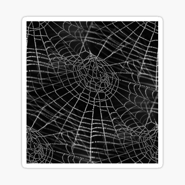 Web Repeating 1 Sticker