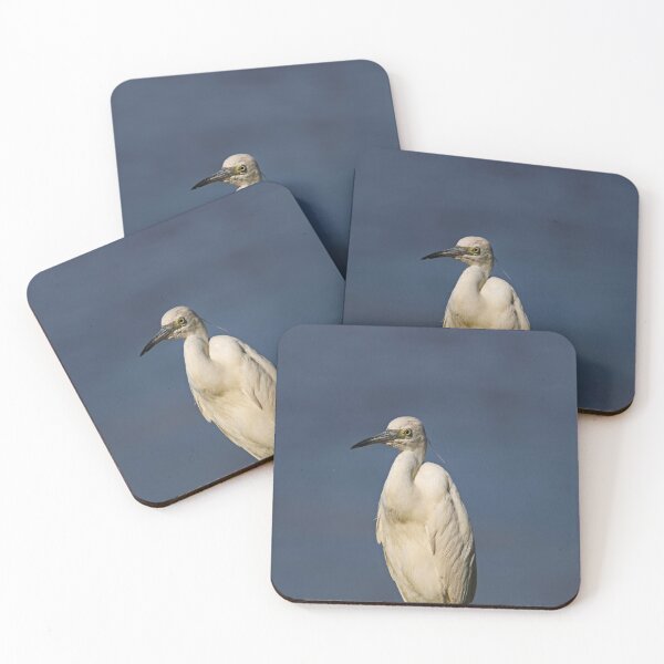 Item preview, Juvenile Little Blue Heron II designed and sold by Michiale.