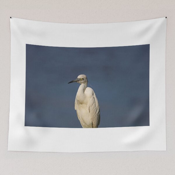 Item preview, Juvenile Little Blue Heron II designed and sold by Michiale.