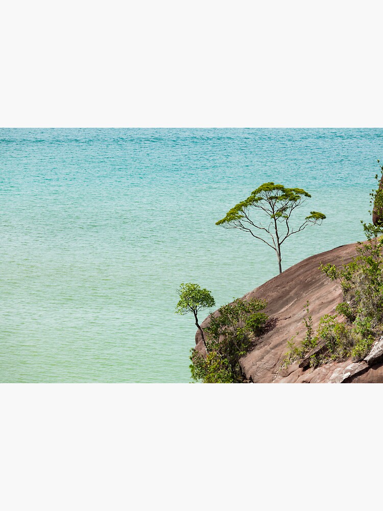 Small tree and big vast ocean scenery by Juhku