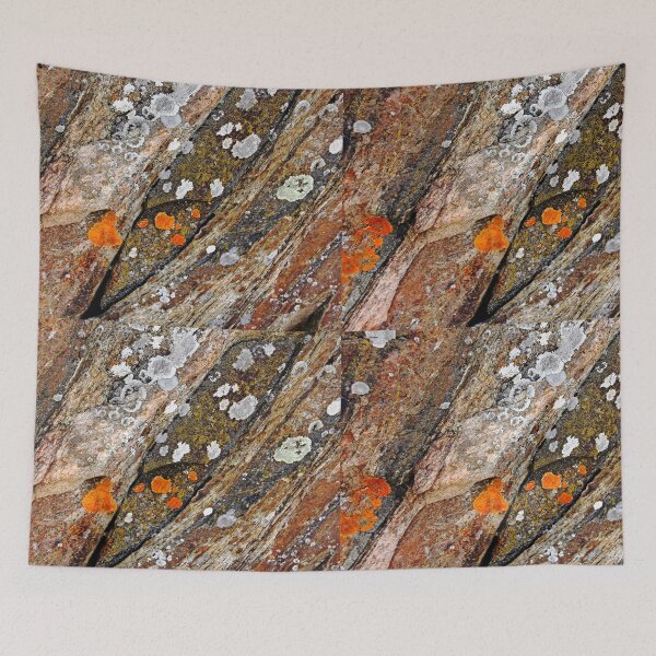 Item preview, Lichen On Rock designed and sold by Debbie Oppermann.