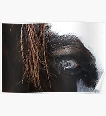 One Blue Eye Poster