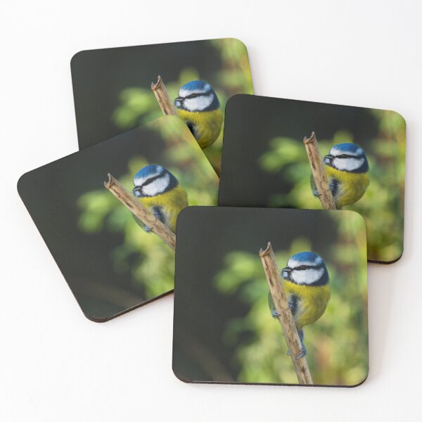 Item preview, Blue Tit perched on an old stem, County Kilkenny, Ireland designed and sold by AndrewJonesFoto.