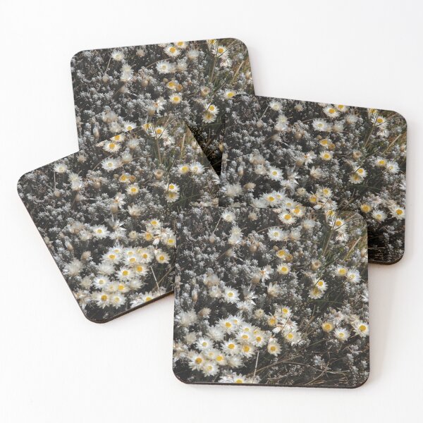 Item preview, African Alpine White Wildflowers Sanetti Plateau Ethiopia designed and sold by worldways.