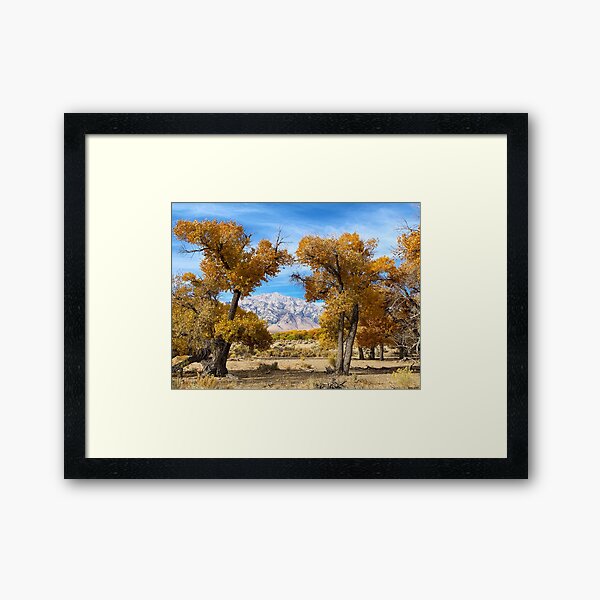 Owens Valley California Fall Colors Mount Williamson Framed Art Print