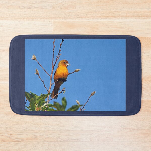Item preview, Female Baltimore Oriole designed and sold by Debbie Oppermann.