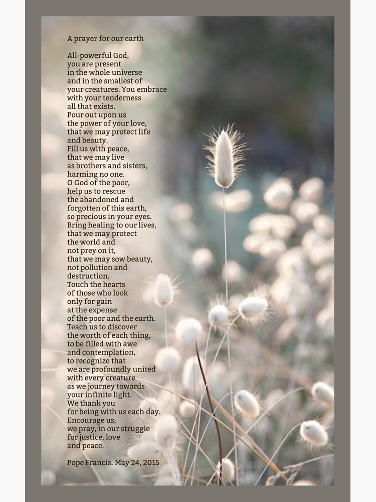 A prayer for our earth by WolfShadow27