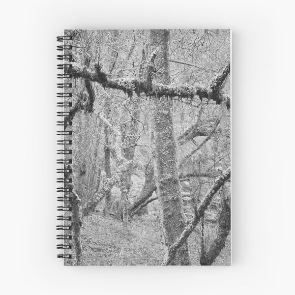 Item preview, Among Birks designed and sold by ShinyPhoto.