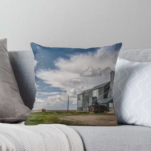 Item preview, Grain elevator near Fresno, Montana designed and sold by BearPaw123.