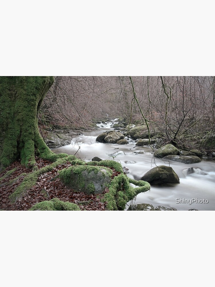 Moness Burn by ShinyPhoto