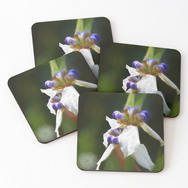 Item preview, Soft Purple and White Flower designed and sold by photosbypamela.