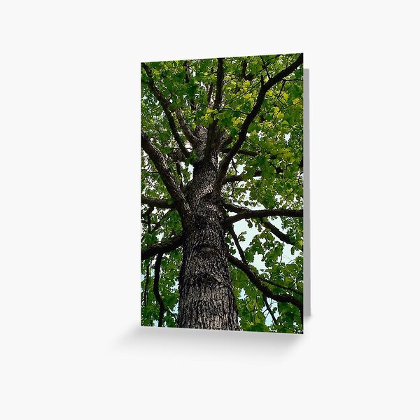 Item preview, The Oak Tree,   A Poem designed and sold by paintingsheep.