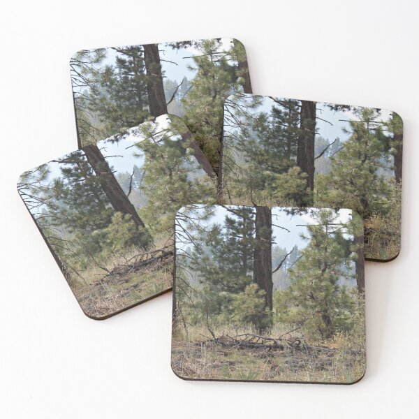 Item preview, The Woods designed and sold by Emily Hermann.