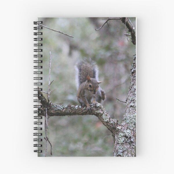 Item preview, Gray Squirrel, Silver Springs Campgrounds, Florida designed and sold by HeartsFlourish.