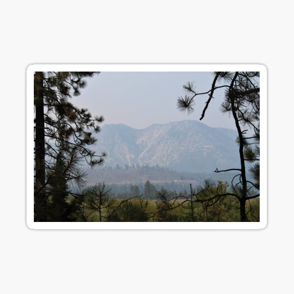 In the Distance Sticker