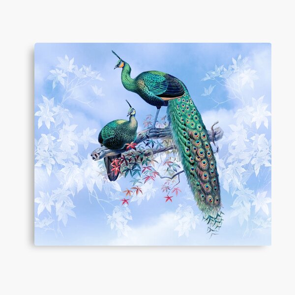 Vintage Peacock Pair Canvas Print