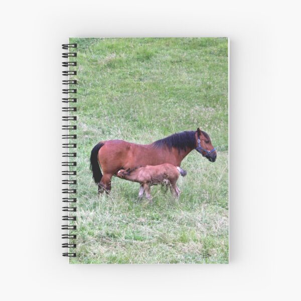 Mare and Nursing Foal Spiral Notebook