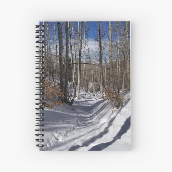 Aspen Glade in Snow, Beaver Creek, Colorado Spiral Notebook