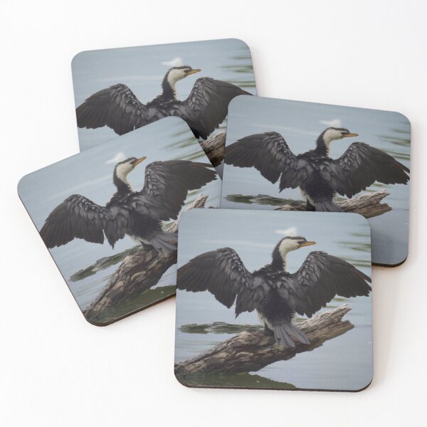 Item preview, Pied Cormorant designed and sold by D-GaP.