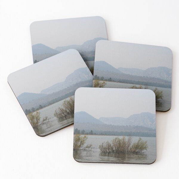 Item preview, Shrubs in the Water designed and sold by Emily Hermann.