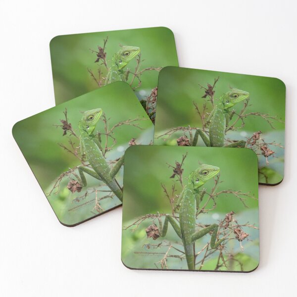 Item preview, Green Crested Lizard designed and sold by Wanderingeagles.