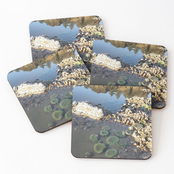 Item preview, Tide Pool, Ruby Beach designed and sold by 21feathers.