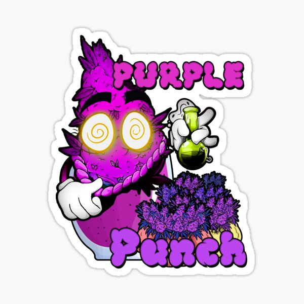 Purple Punch Bud Best Strain  Sticker