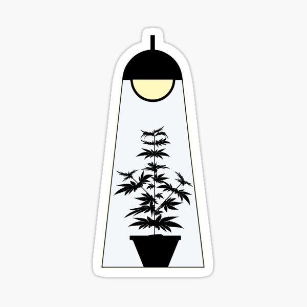 Item preview, Marijuana Strains Growing Best Weed Growers and Making Dab Design designed and sold by DabGraphic.