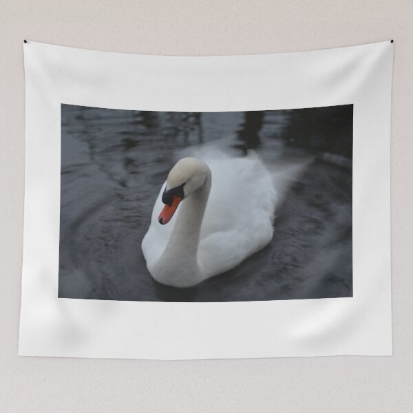 Item preview, Mute Swan in motion designed and sold by garrgirl.