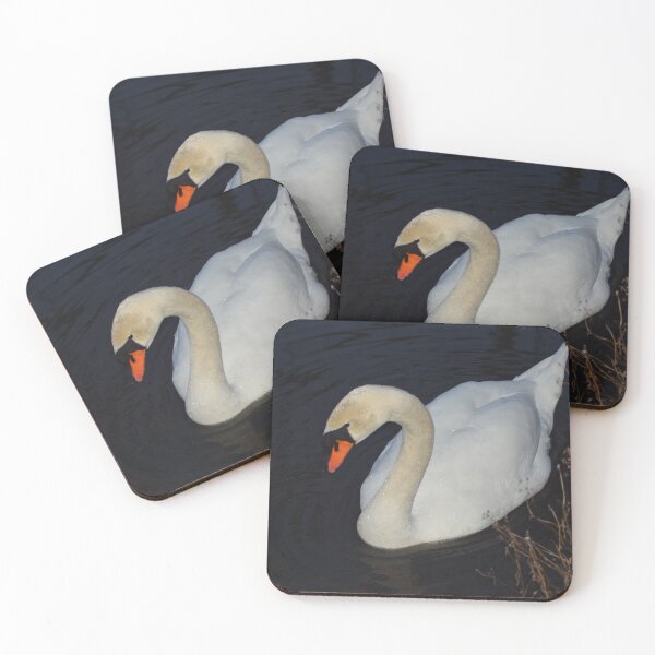 Item preview, Mute Swan with water drops designed and sold by garrgirl.