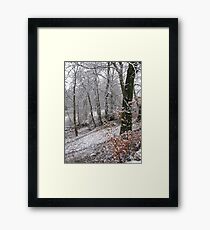 Snow on autumn leaves Framed Print
