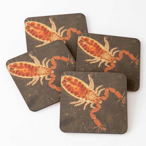 Item preview, Pseudoscorpion designed and sold by Joe Saladino.