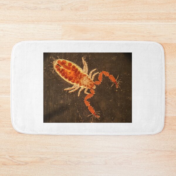 Item preview, Pseudoscorpion designed and sold by Joe Saladino.