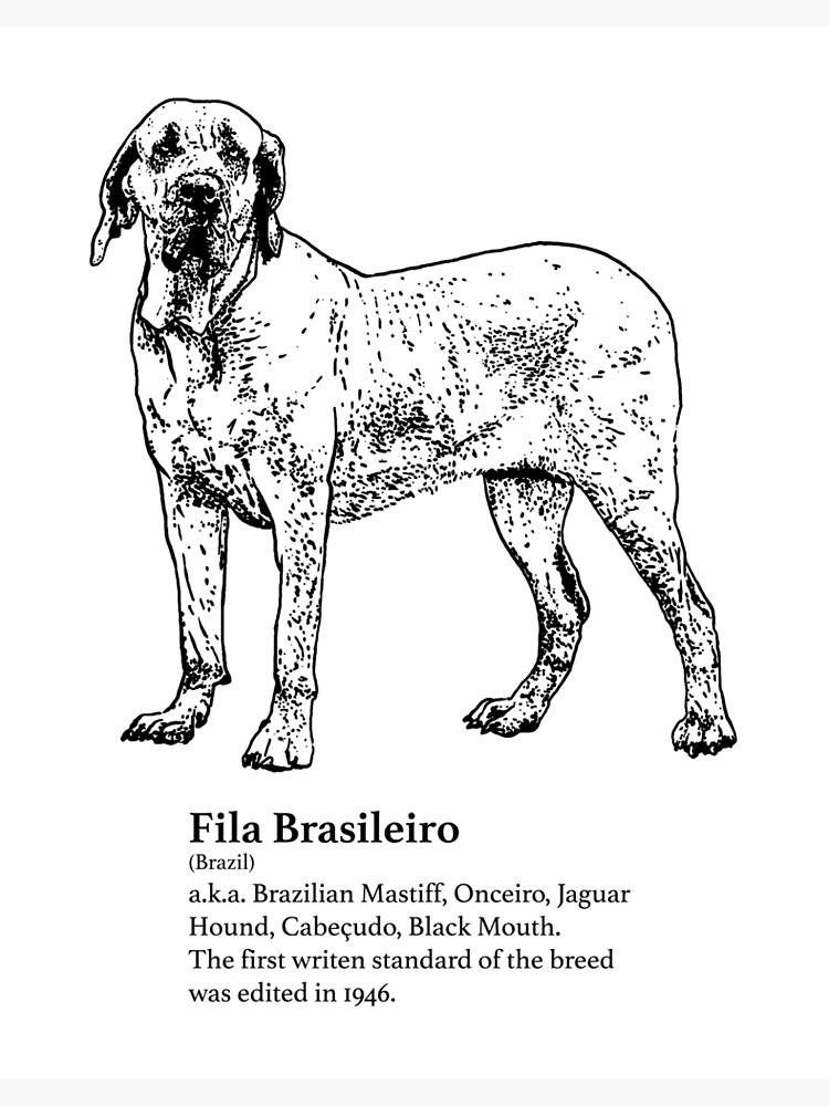 Fila Brasileiro Art Board Print by canis-mundi