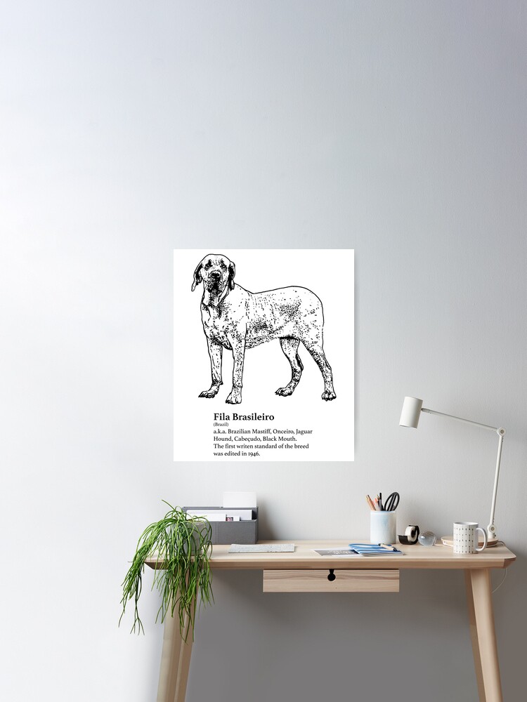 Poster fila brasileiro 