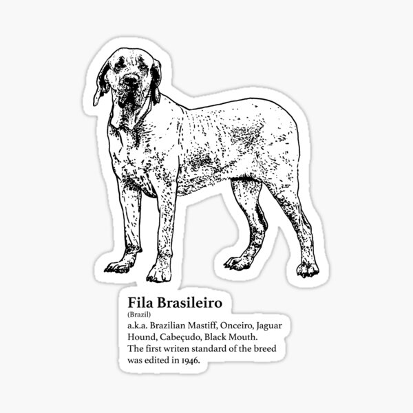 Fila Brasileiro Sticker by canis-mundi